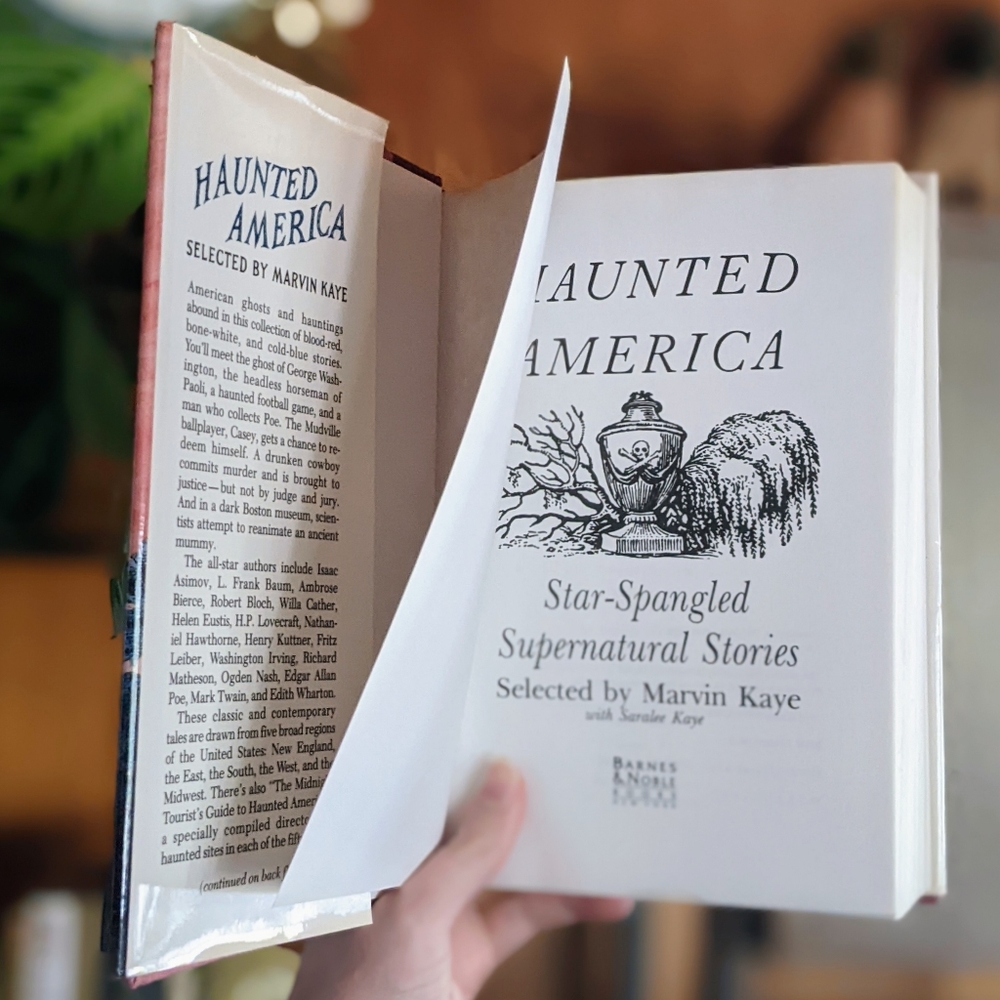 Vintage 90s "Haunted America" Book - Picture 4 of 4